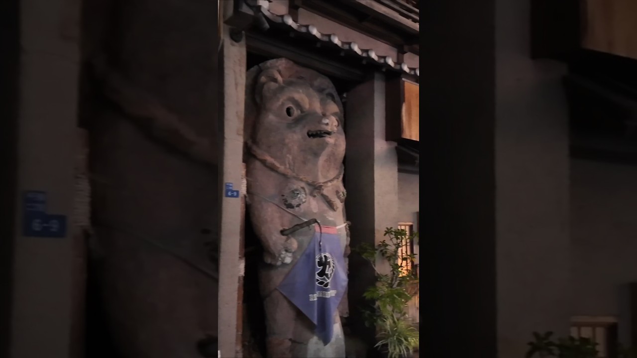 Exploring Osaka at Midnight 