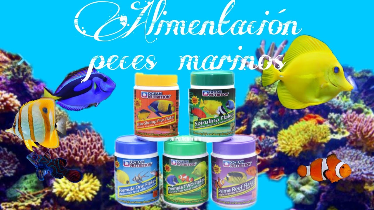 Alimentación peces marinos- REEF START