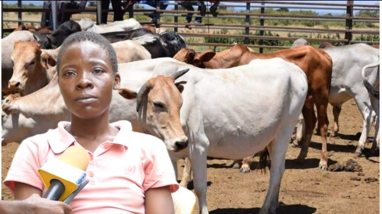 MWANAMKE WA KISUKUMA ALIYEOLEWA KWA NG'OMBE 70 AKIWA NA MIAKA 10 NA KUMUUA MUME WAKE 