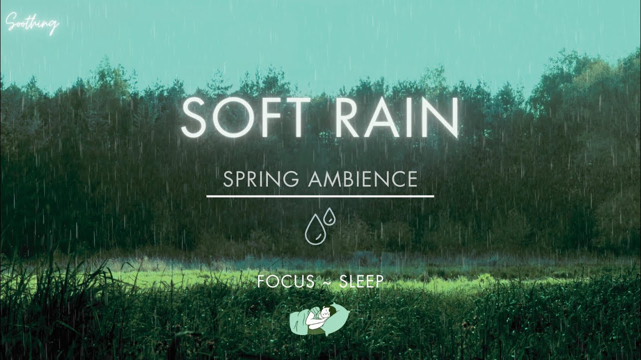 Soft Rain On Grass | NO ADS | Soothing Gentle Rain Sounds For Sleeping🌧