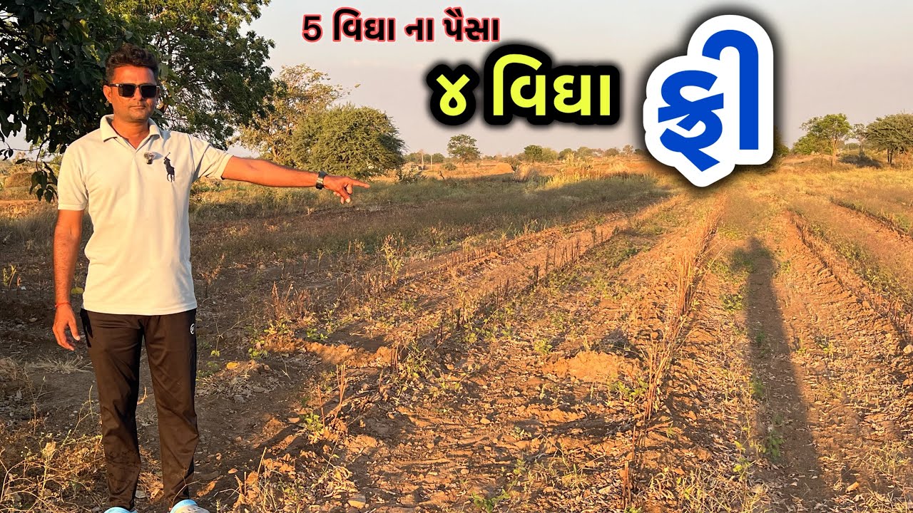 કેશોદ તાલુકા મા ૯ વિઘા રોડ થી ત્રીજુ ખેતર 📞+7434997974