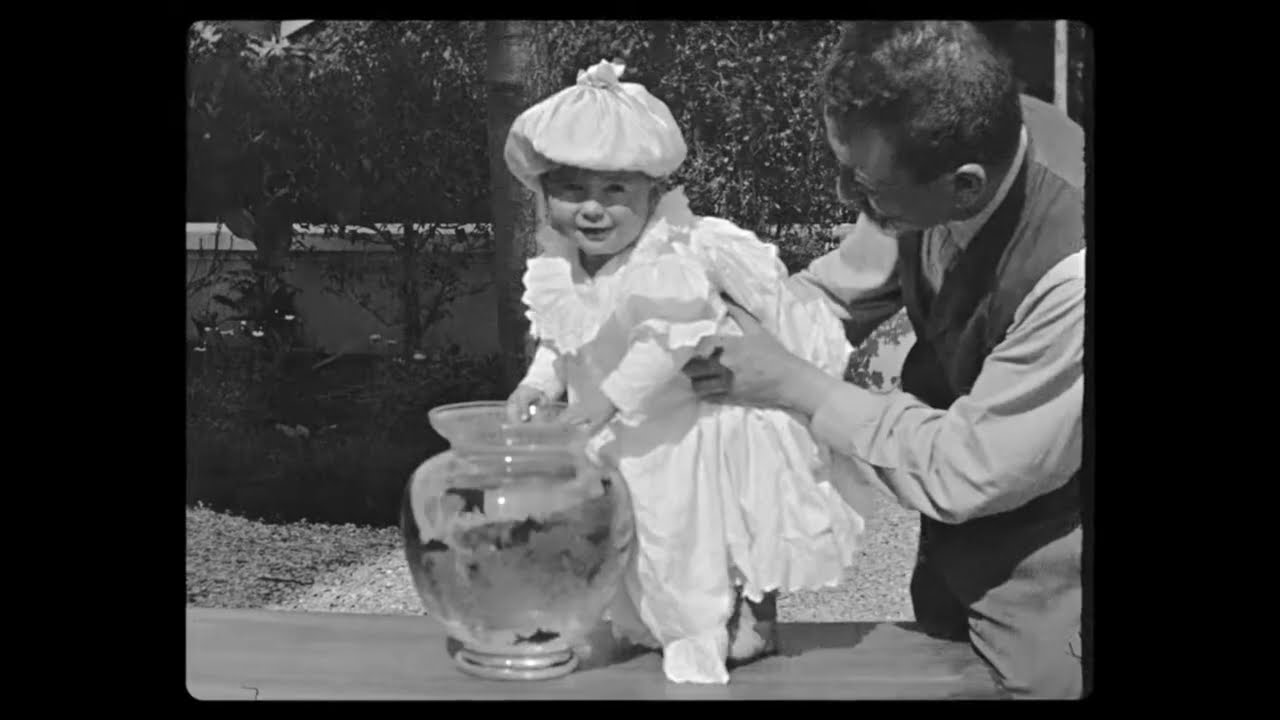 The Lumière Brothers' first films / Lumière Kardeşler'in ilk filmleri