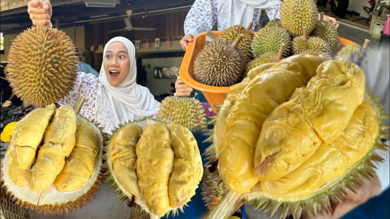 DURIAN MUSIM BESAR !! HARGA RUNTUH BORONG RM3.50 ‼️
