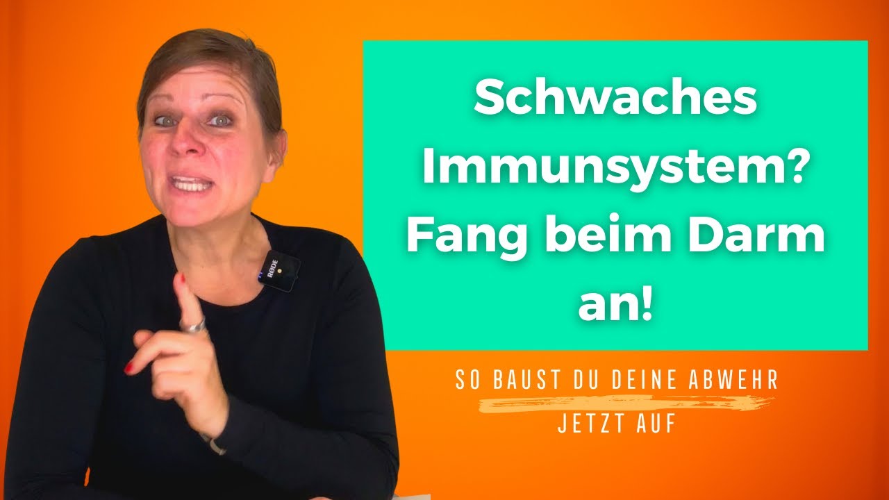 St&auml;ndig erk&auml;ltet? So reparierst du Darmbarriere, Mikrobiom & Immunsystem
