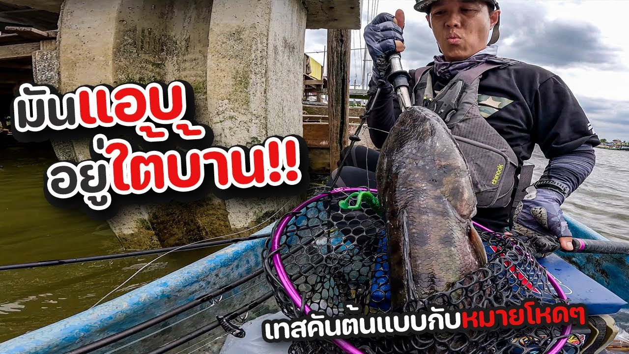 มันแอบอยู่ใต้บ้าน !!!