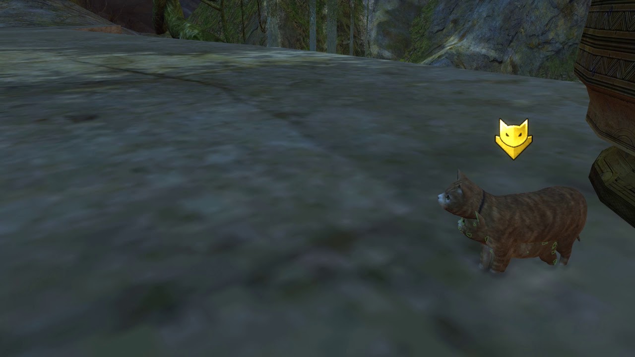 Gw2 Yellow and Blue Catmander fighting in Home Instance