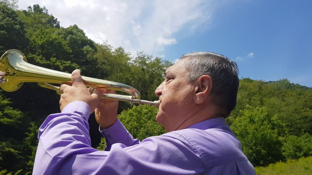 Dobrivoje Mamutovic 2020 Hit -Sećanje na Dižon (Bora Dugić) 4k