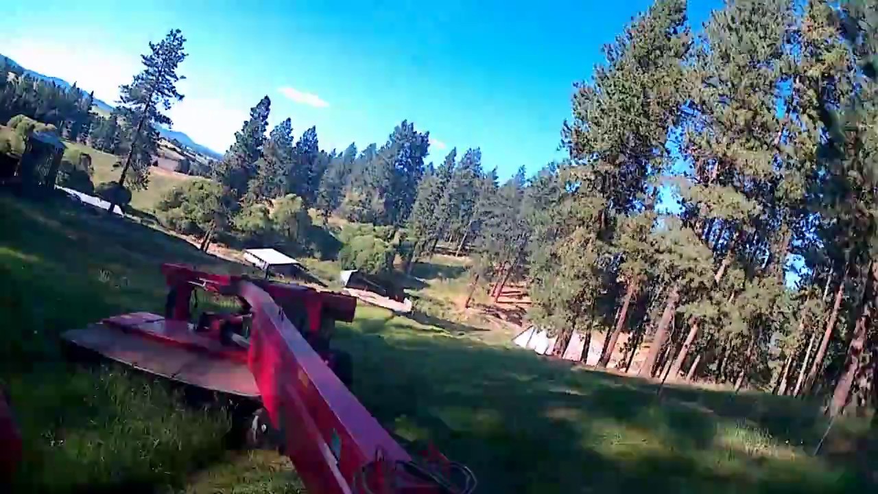 Swathing hay