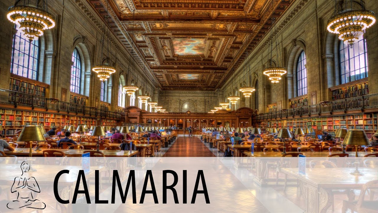 🎧 BIBLIOTECA ~ Alta Concentração ~ Focar, Estudar, Concentrar, Trabalhar ~ CALMA ~ ♫051