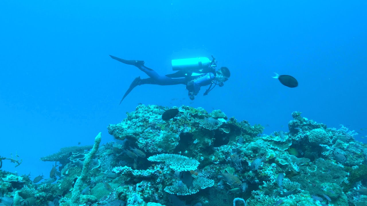 Diving in Selayar  South Sulawesi - Indonesia