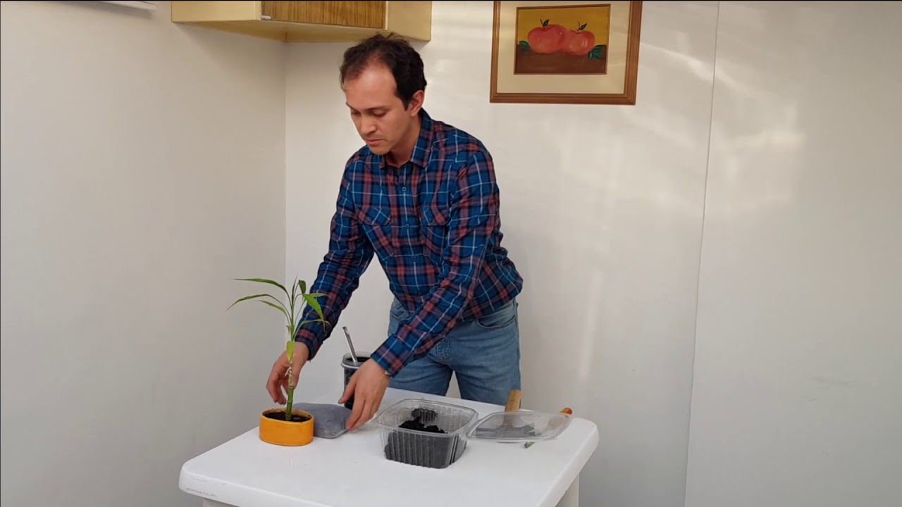 Reciclar - Reutilizar cartuchos de filtros de agua de Nikken para malos olores, humedad o planta