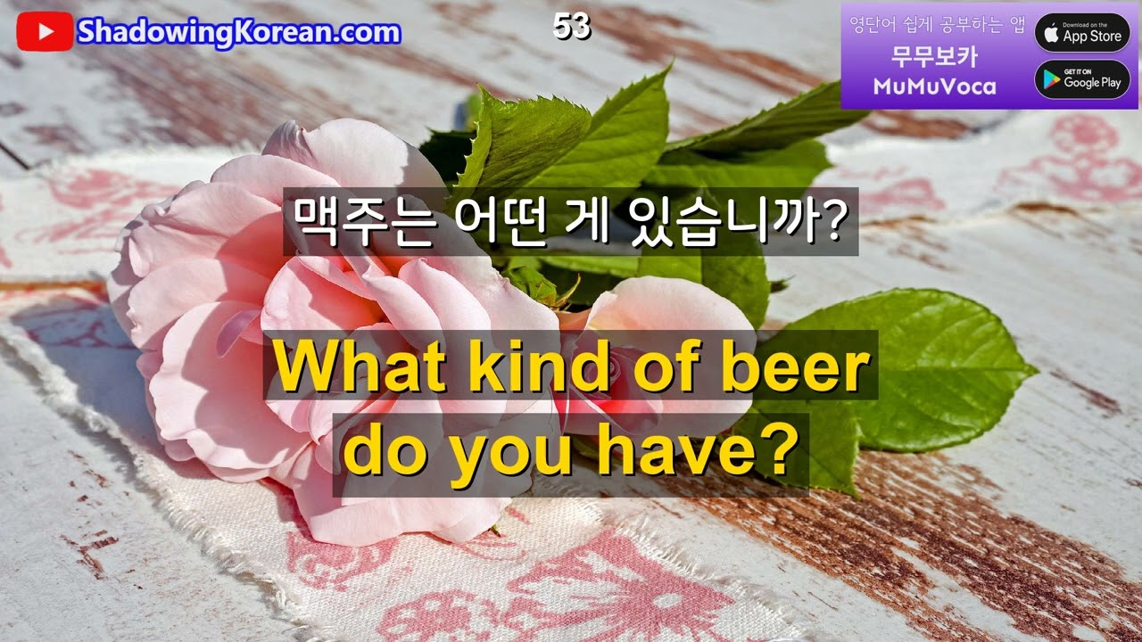 외국에서 꼭 필요한 영어 문장들입니다. 30분만 투자해 보세요 | 2026년 30분 공부 시리즈 #34