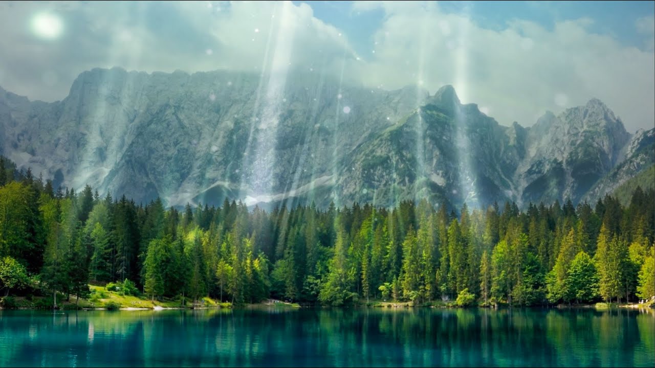 How Trees Clean the Air