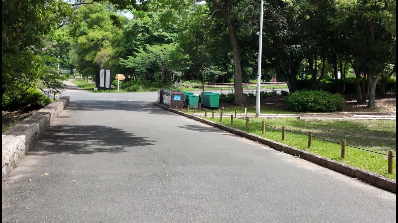 【4K】①【Daytime Walk in Osaka】Hattori Ryokuchi Park｜静かな緑の中をのんびり散歩