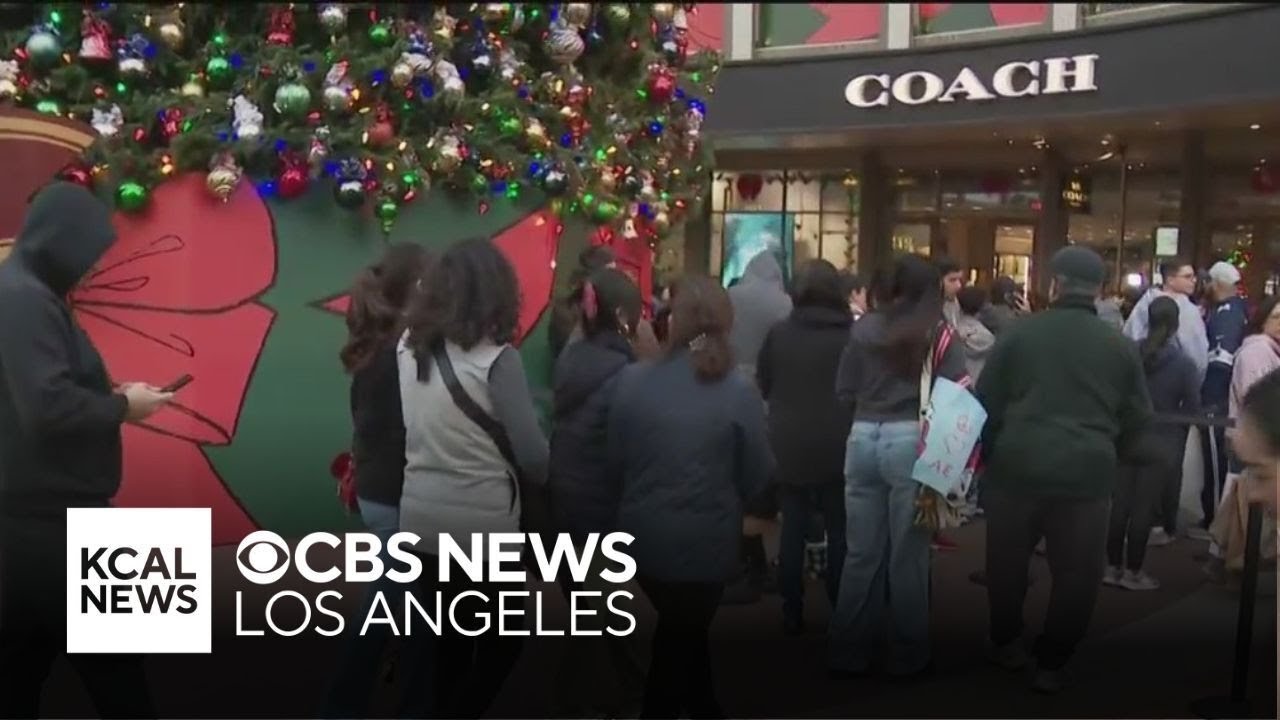 Shoppers hunt for Black Friday deals