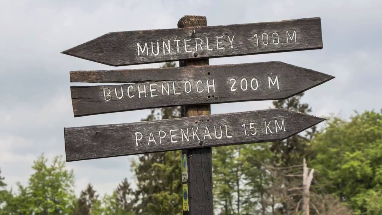 Wanderung Gerolsteiner Dolomiten und Dietzenley