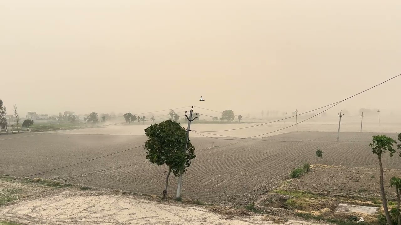 Cinematic Thunderstorm Incoming | Raw Nature Sounds | Punjab, India