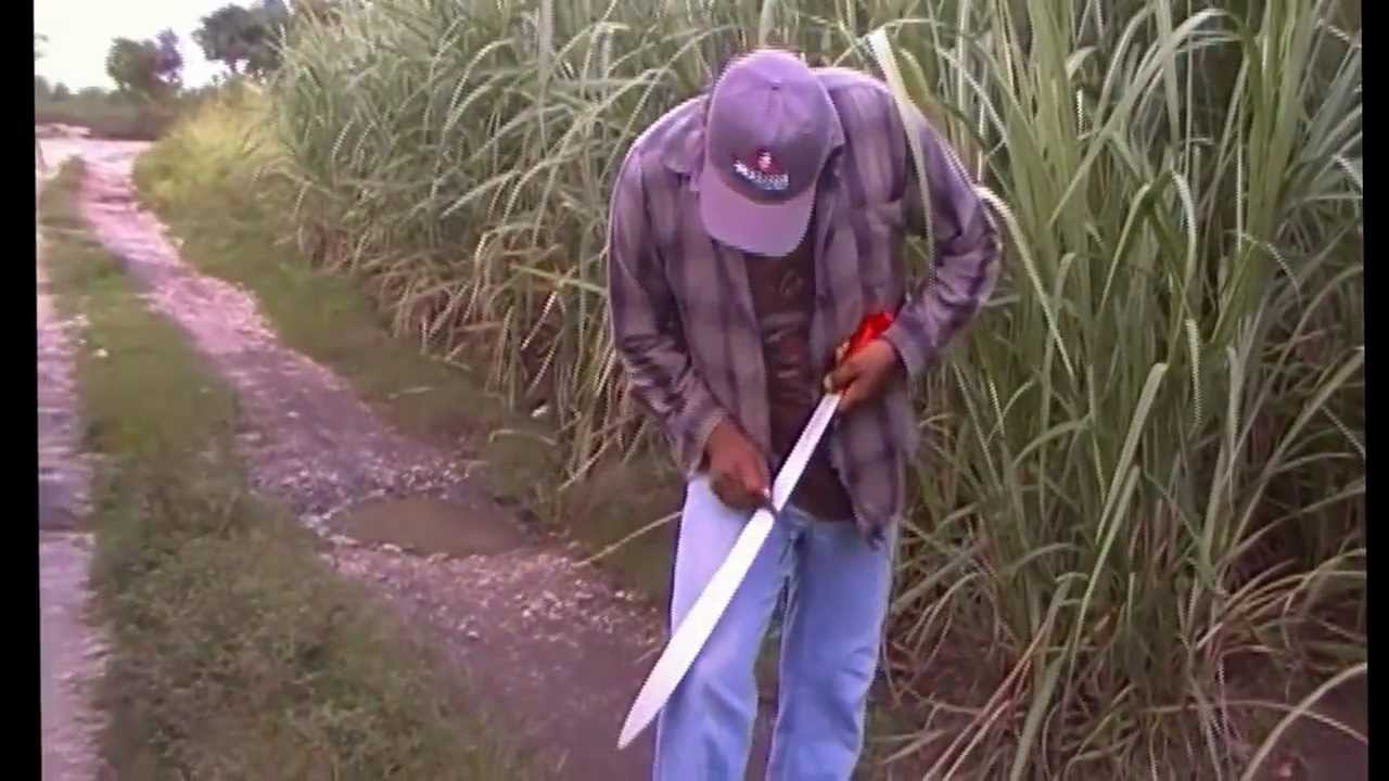 Bellota Machete afilado y corte maleza