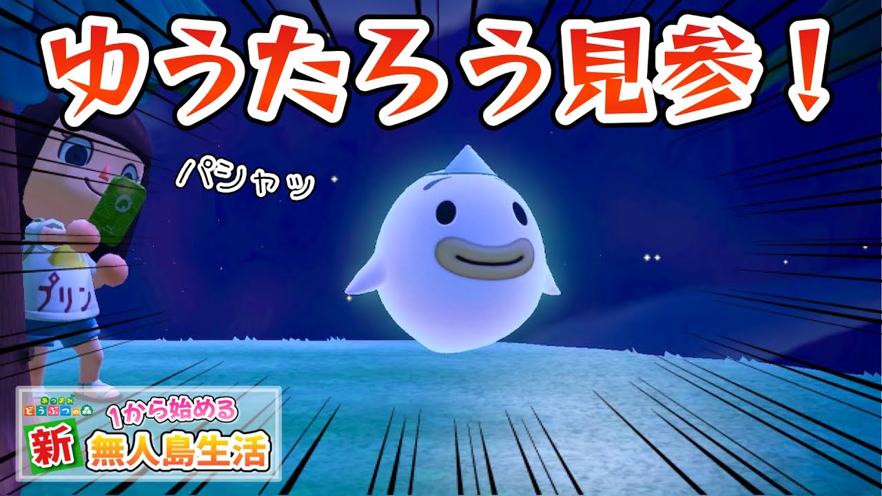 【あつ森】ゆうたろうとの初対面！サソリに襲われる恐怖の夜！#22【あつまれどうぶつの森】