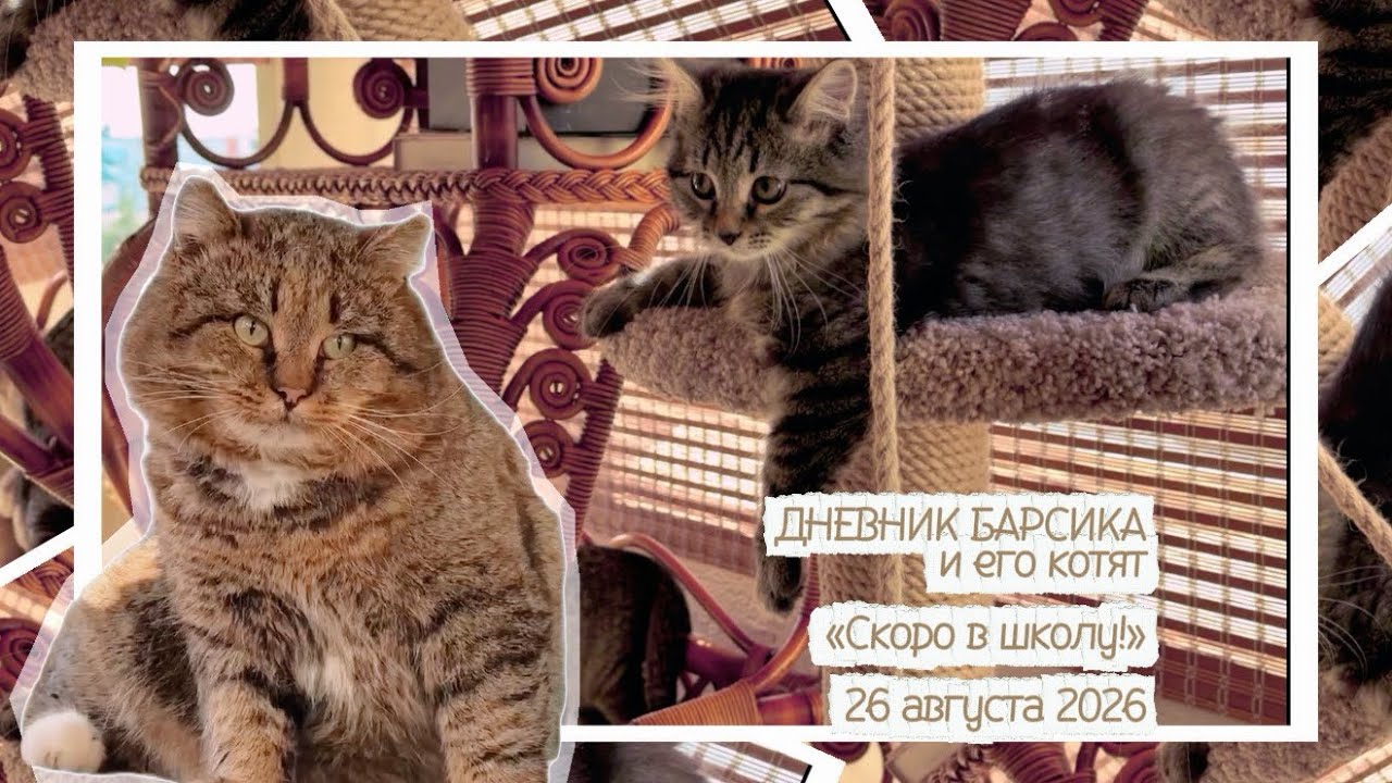 26 августа 2026 г.