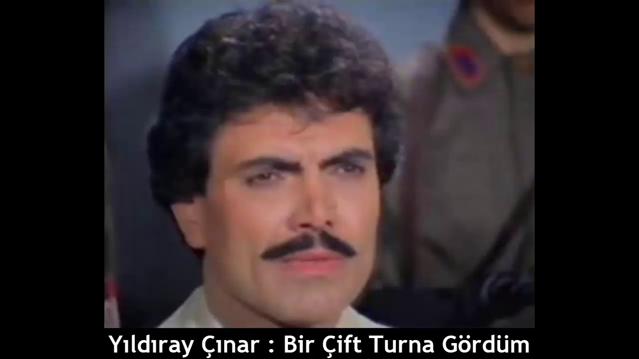 YILDIRAY ÇINAR : BİR ÇİFT TURNA GÖRDÜM
