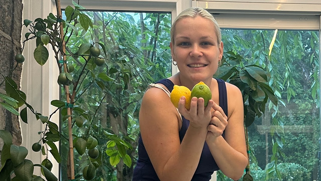 STILL NO FRUIT?🍊TRICKS TO MAKE CITRUS PLANTS BLOOM FAST 🍋🙌