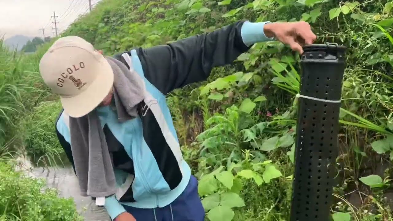 うなぎ筒　浅すぎ？水深5センチのところに11本仕掛けてみた