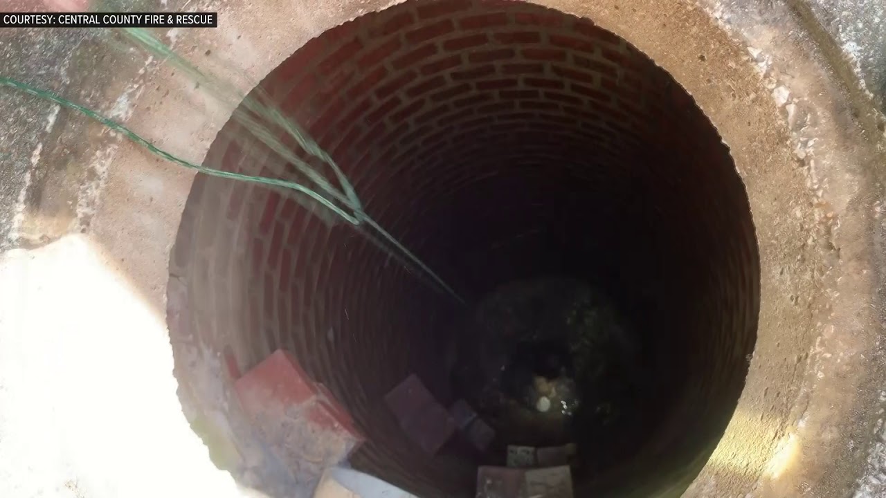 RAW: Kitten rescued from drain by firefighters