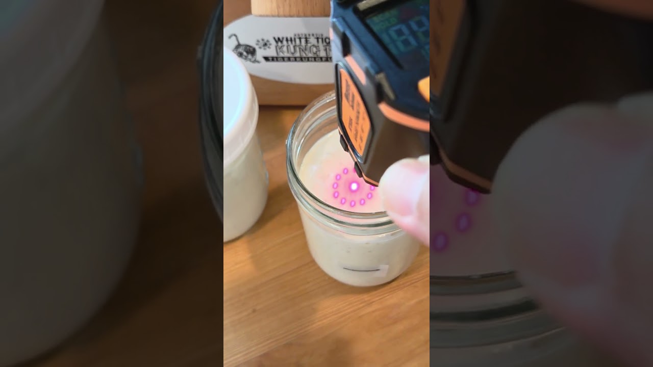 Part 3 of 3 | Reviving an Inactive Sourdough Starter — Fully Revived & Tripling in 4 Hours