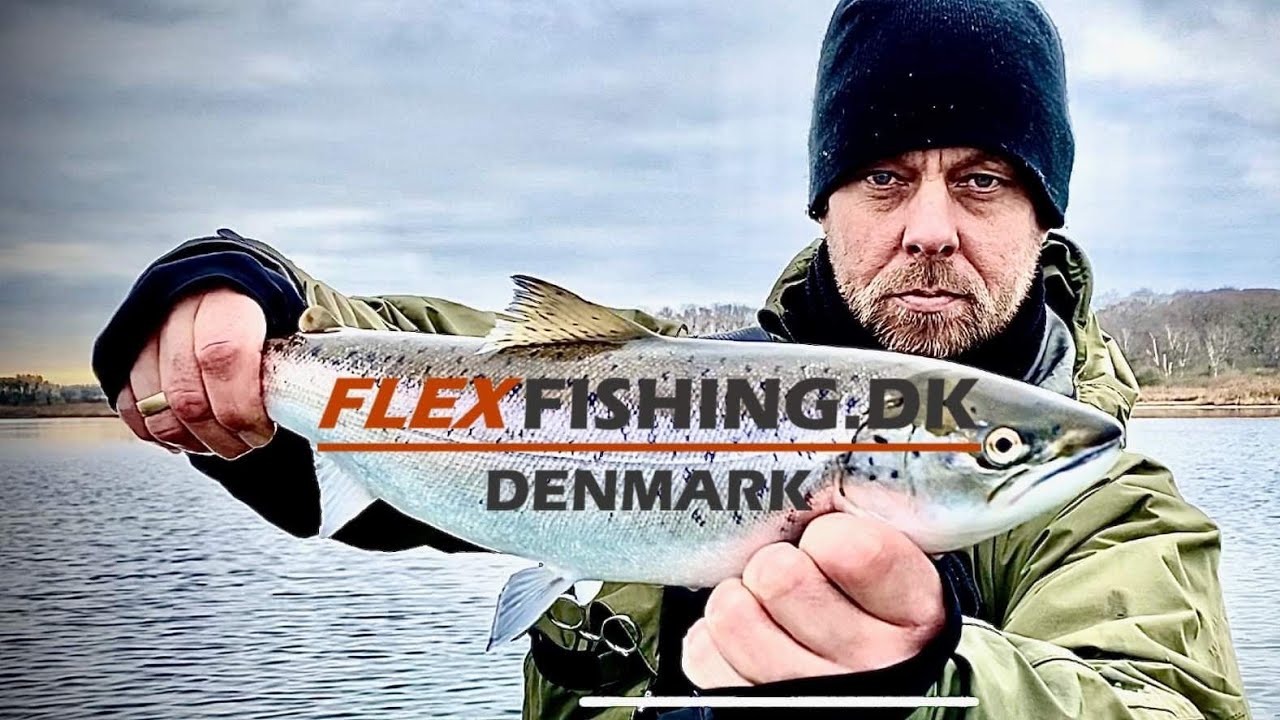 Havørredfiskeri vinter