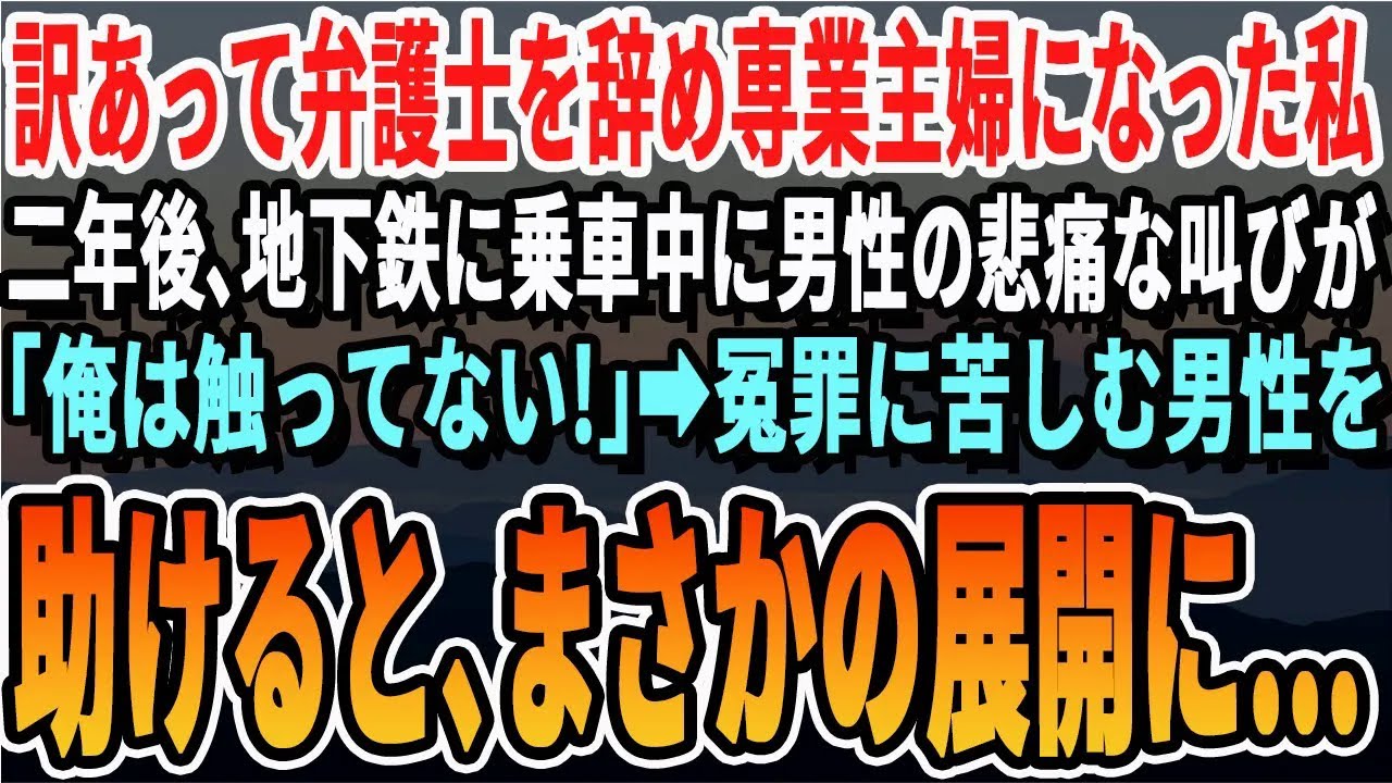 【感動する話】訳あって弁護士を辞めて専業主婦になった私。2年後、夫と買い物で地下鉄に乗車中、男性「俺はやっていない！」冤罪に苦しむスーツ姿の男性を助けるとその後まさかの展開に…【いい話・泣ける話