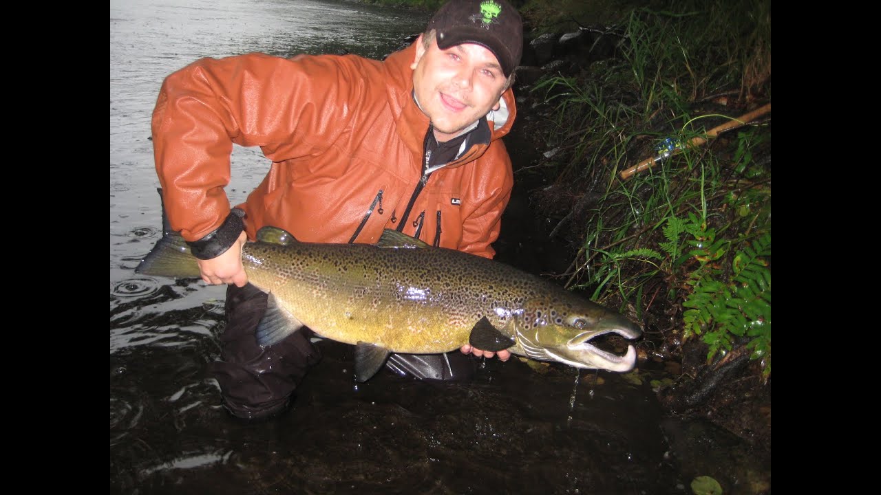Flugfiske i Mörrumsån 10+lax / Mörrum River flyfishing salmon 10+ kilo