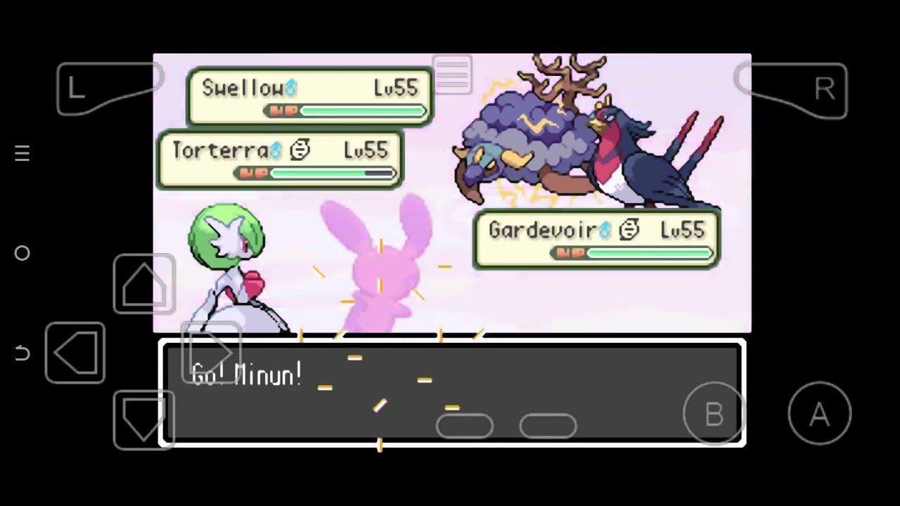 Pokemon Elite Redux Mono-Run Series: Mono-Hoenn [5]