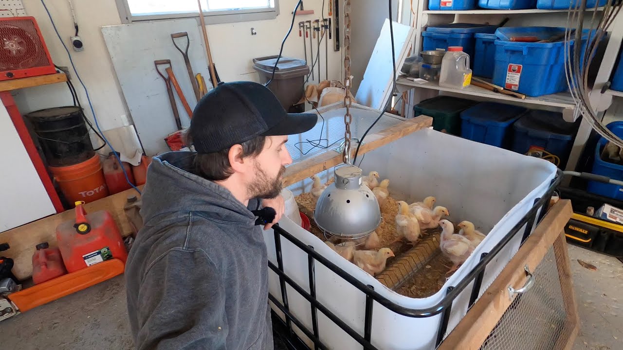 La Poussinière ! Les Améliorations