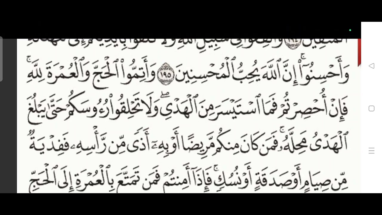 Surah Baqara( Ayat 191 to 196) practice recitation female voice #quran 