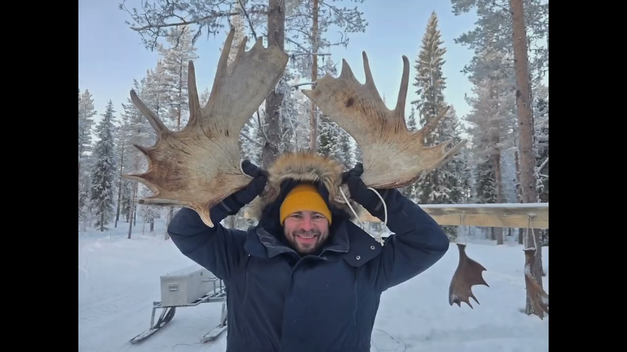 Elchsafari bei -30C