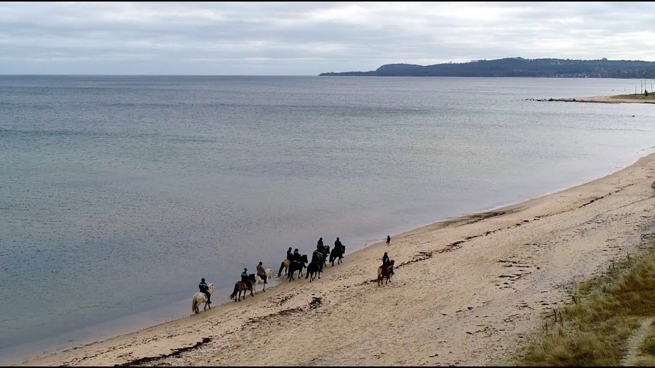 Österlensvepet del 1. Österlens Tölthästar