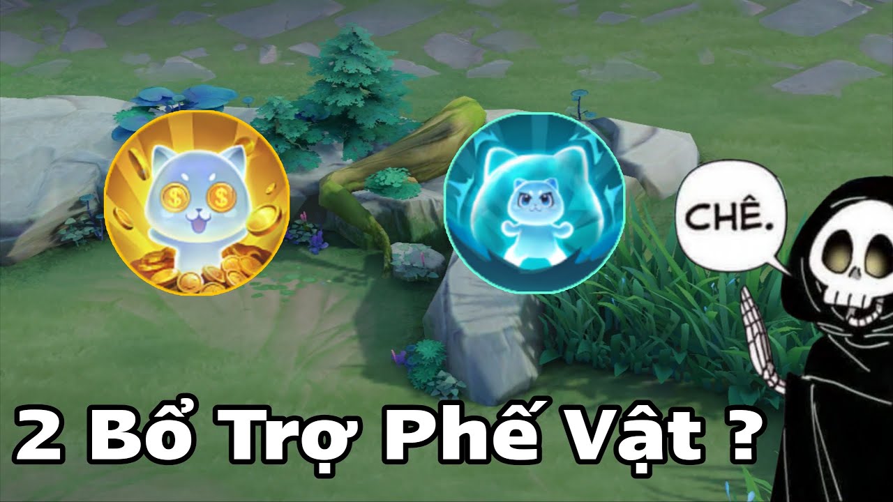 2 Món Bổ Trợ Này Là Phế Vật ?