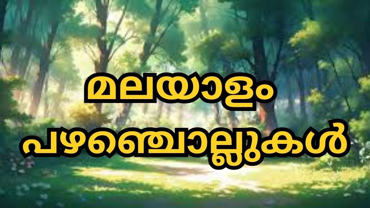 മലയാളം പഴഞ്ചൊല്ലുകൾ | Pazhamcholukal | Malayalam proverbs