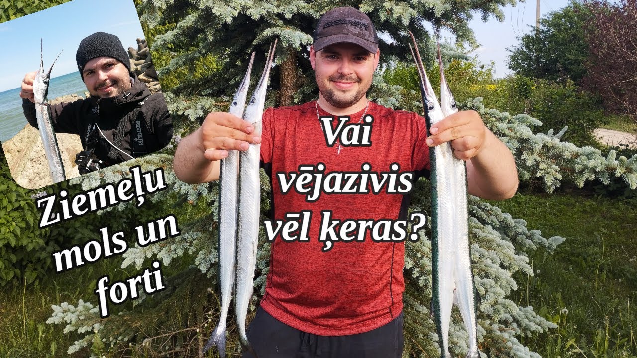 Vai vējazivis vēl ķeras? Ziemeļu mols un sagrautie forti 28.05.2023.!