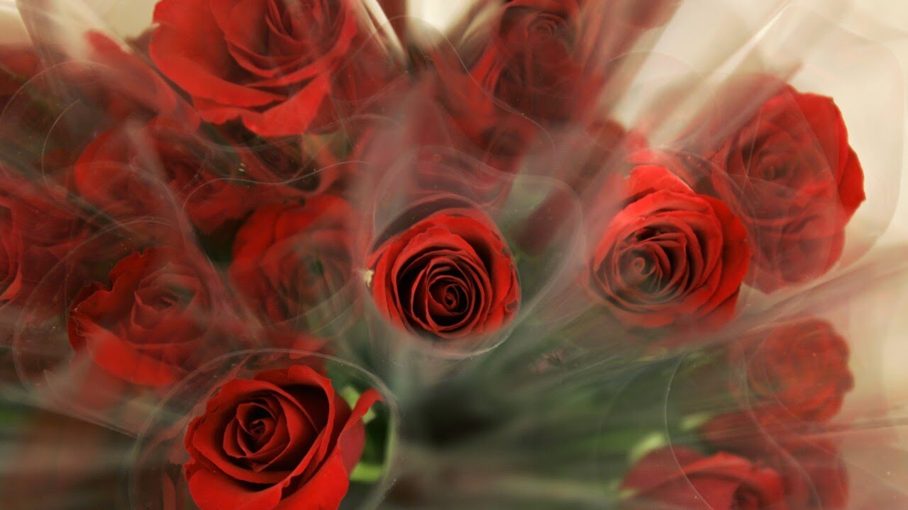 Are flowers too expensive? Try these budget-friendly alternatives for Valentine&rsquo;s Day