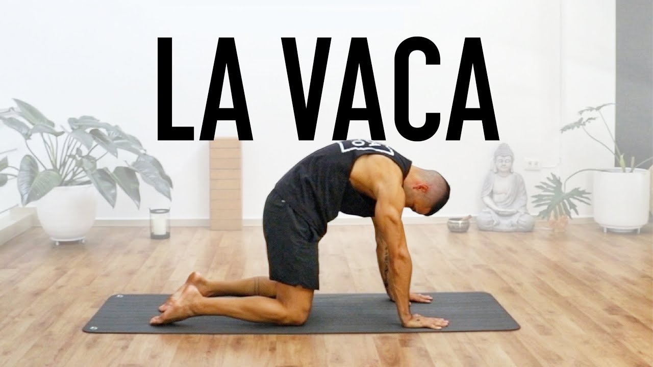 POSTURA DE LA VACA (Bitilasana) Yoga Tutorial