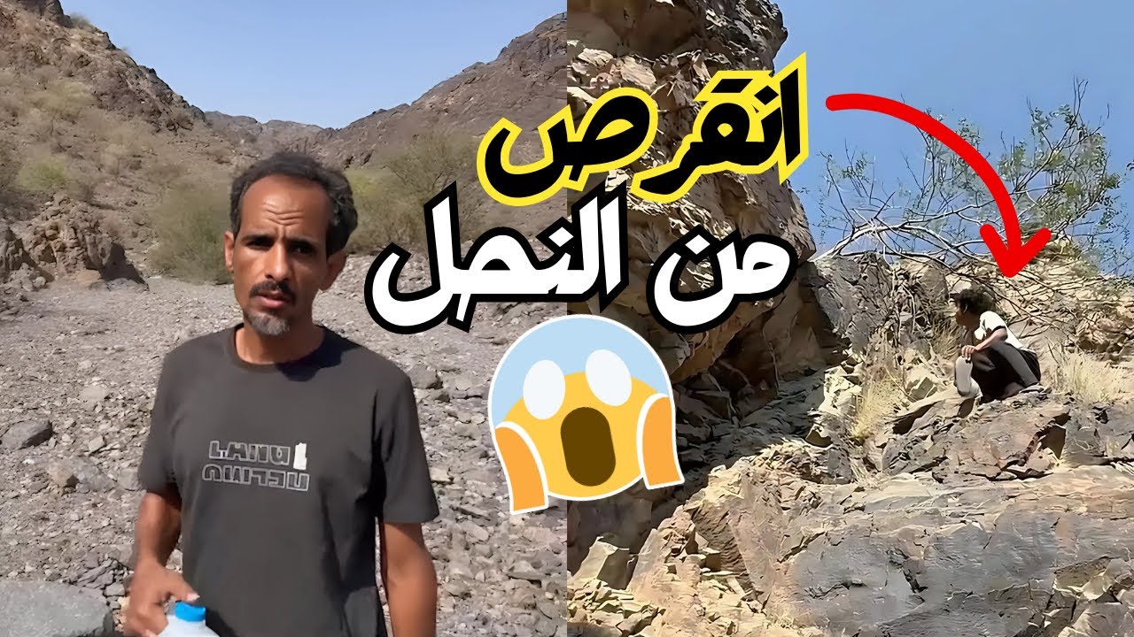 رحلة لخلايا النحل مع زعتور (حمود انقرص من النحل 😱)