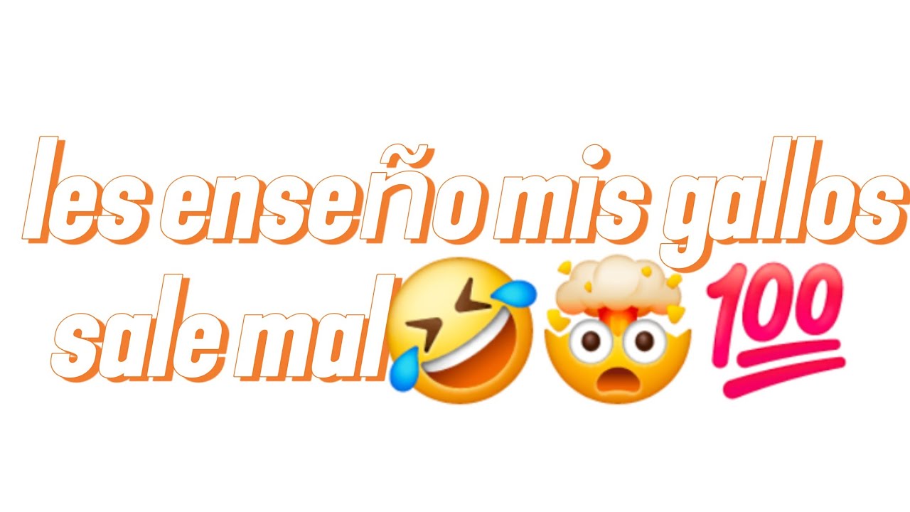 Les enseño mis gallos sale mal