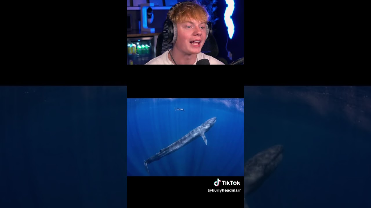 Things That Are Larger Than You Think! 😨
