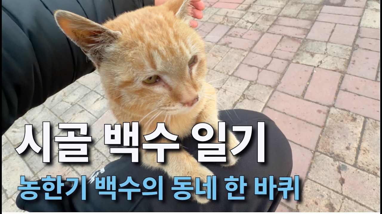 농한기 시골 백수의 동네 한 바퀴