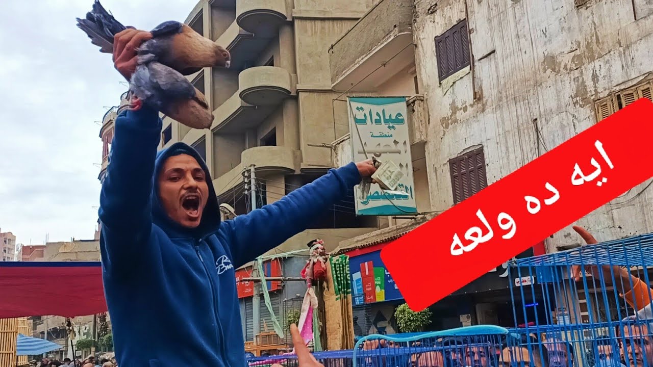 مفاجاه 😱 اللمعي في المزاد الحمام 🏇ببلاش في سوق المحله 💪الكبرى بارقام التليفونات