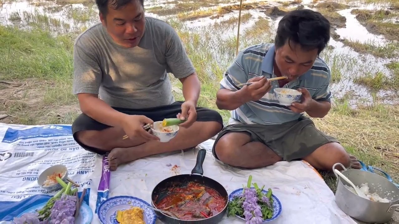 Bữa Cơm Nghèo Của người Chăn Vịt Ăn Vậy mà Ngon|Cuộc sống người chăn vịt