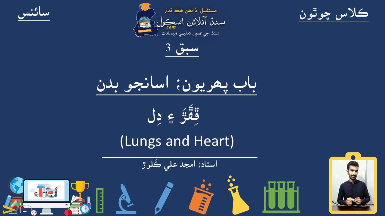 Lungs & Heart| Science Class 4| Lesson 3| Chapter 1| Science in Sindhi
