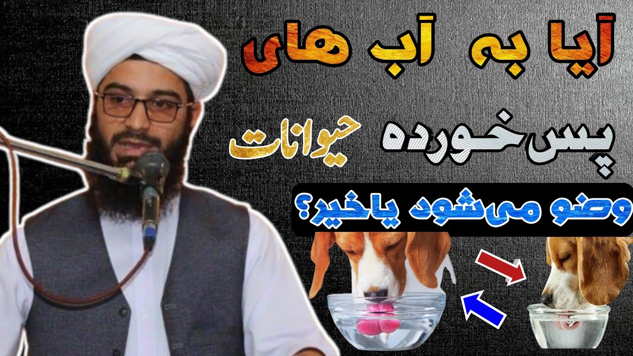آیا به آب های پس خورده حیوانات وضو می شود یاخیر؟